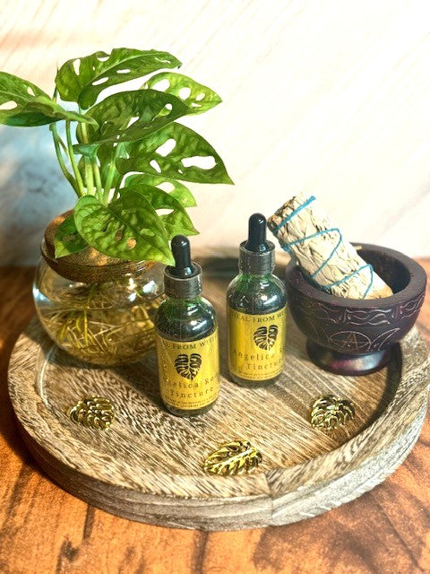 Angelica Root Tincture