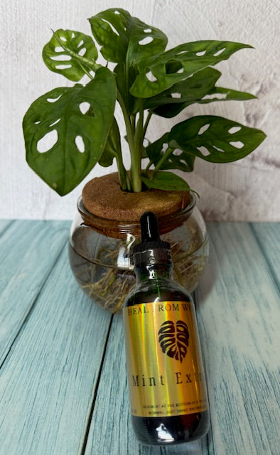 Mint Extract
