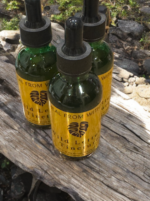 Wild Lettuce Tincture