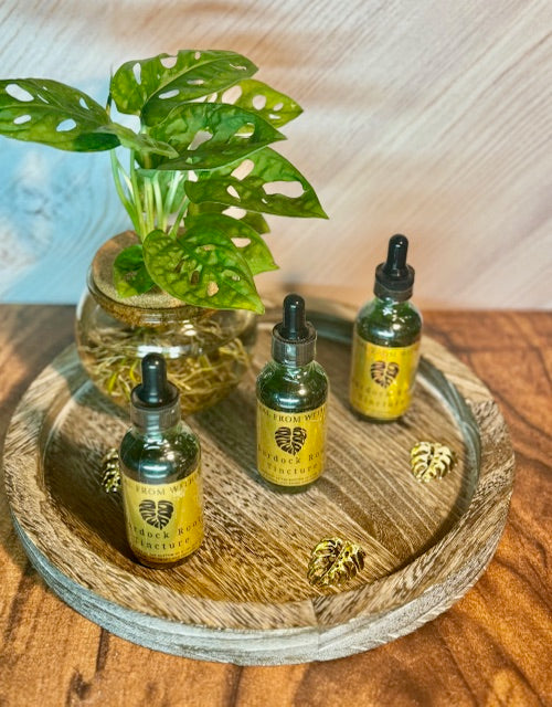 Greater Burdock Root Tincture