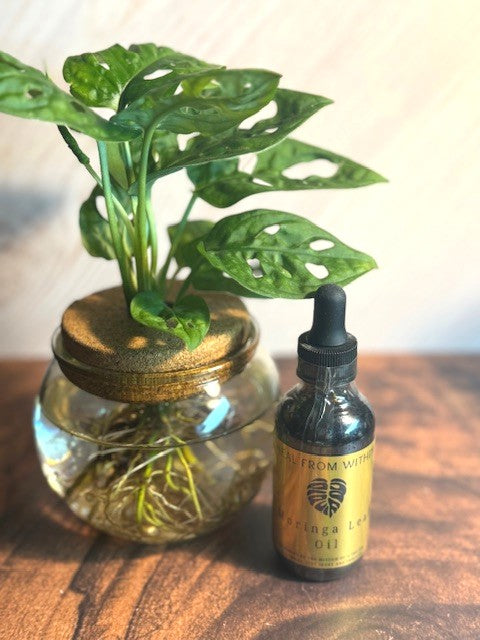 Moringa Leaf Oil